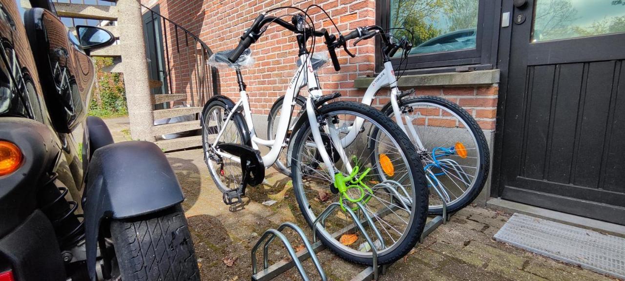 Fitness Loft 50 M2 Leilighet Zemst Eksteriør bilde