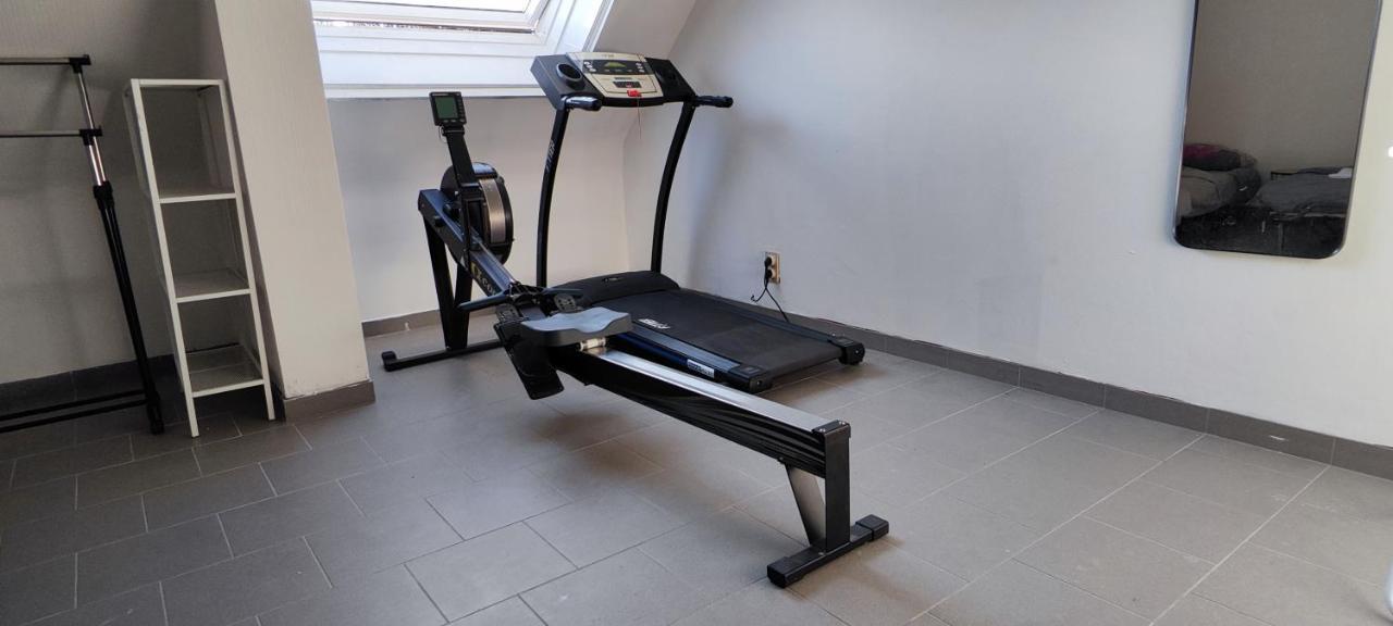 Fitness Loft 50 M2 Leilighet Zemst Eksteriør bilde